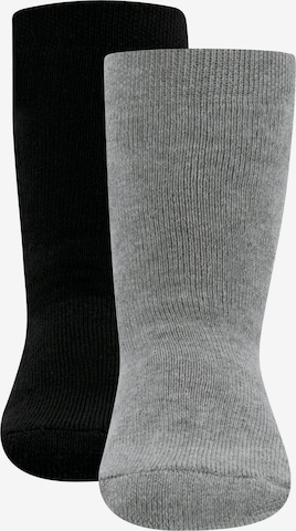 Chaussettes EWERS en gris : devant