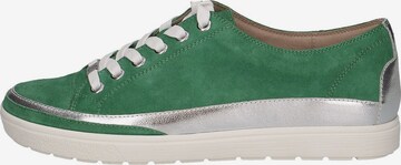 CAPRICE Sneakers in Green