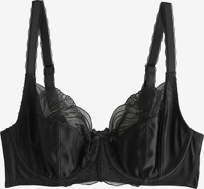 Next Grudnjak u crna, Pregled proizvoda