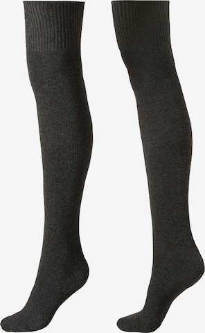 CALZEDONIA Socken in Grau: Vorderseite
