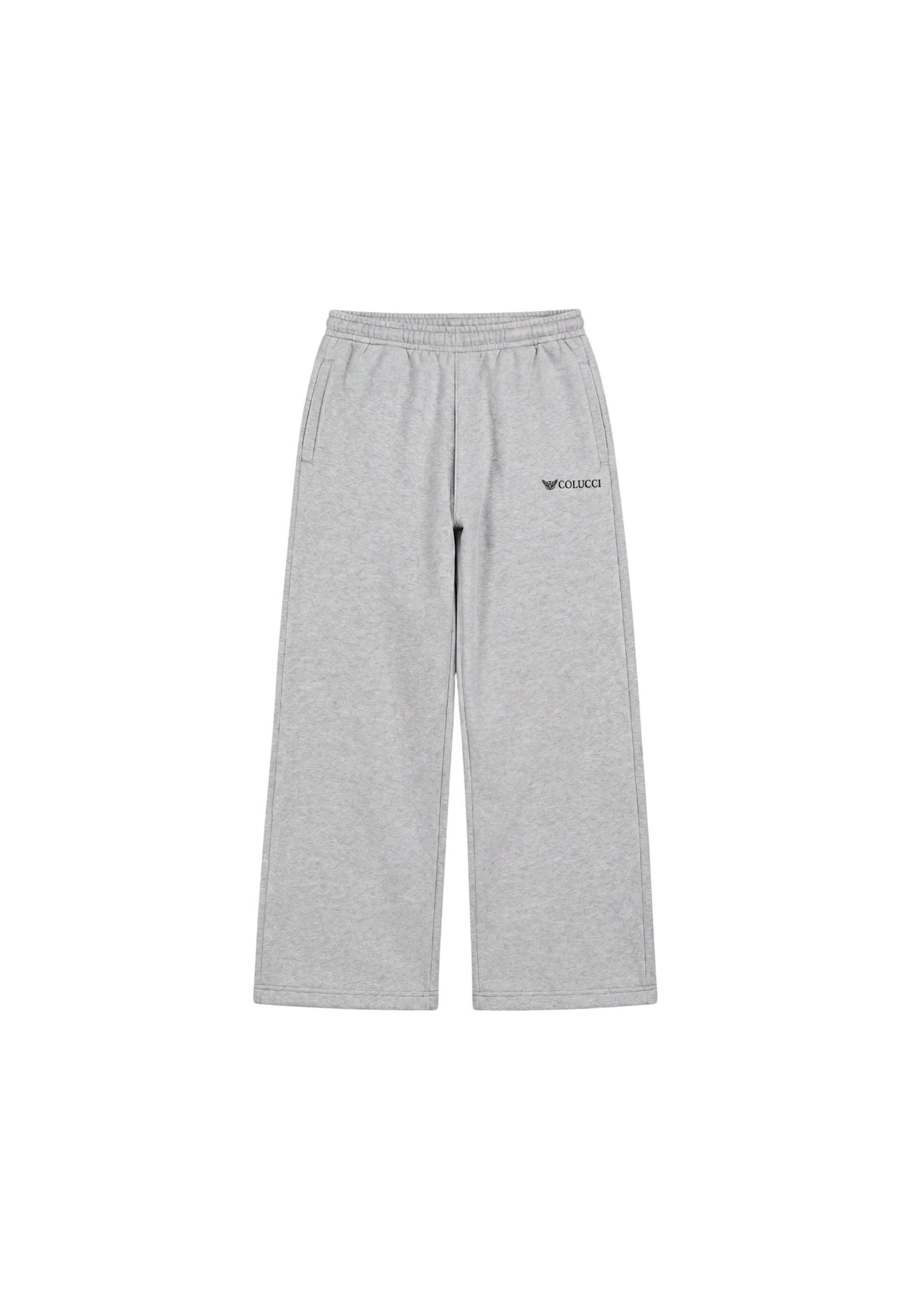 Wide Leg Pantalon Colucci en gris : devant