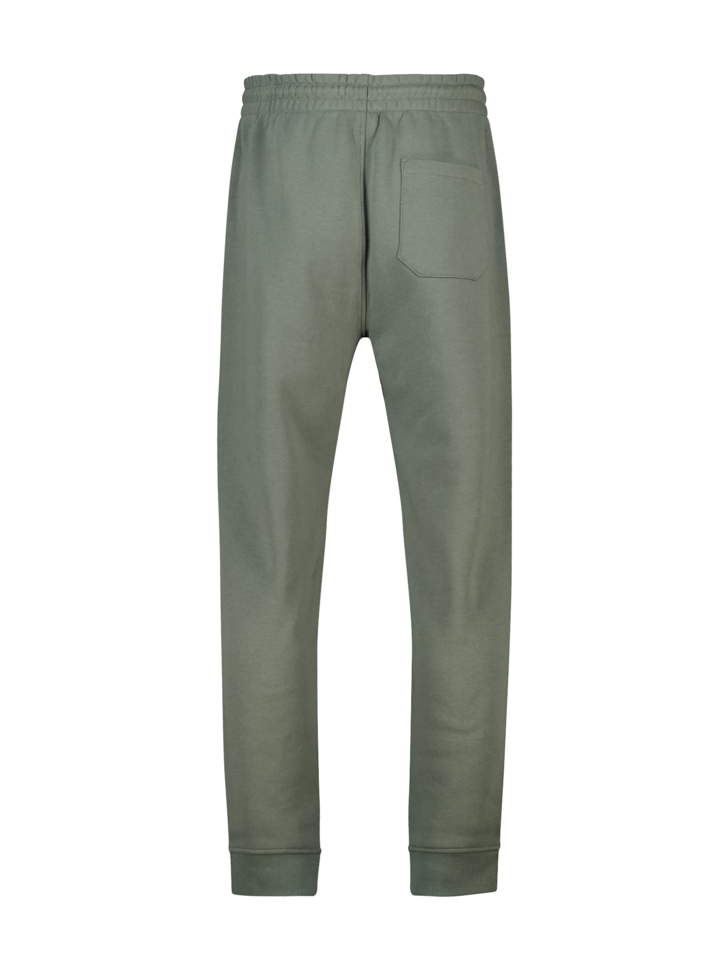 Effilé Pantalon America Today en vert