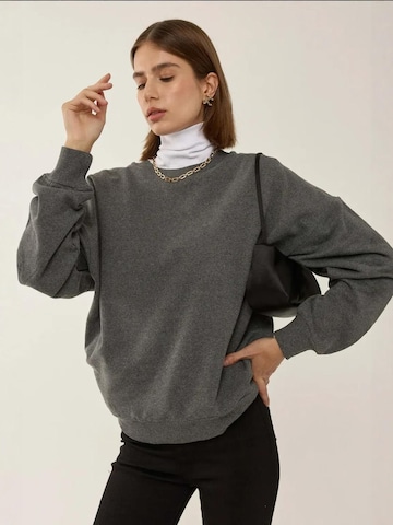 Sweat-shirt Hiccup en gris
