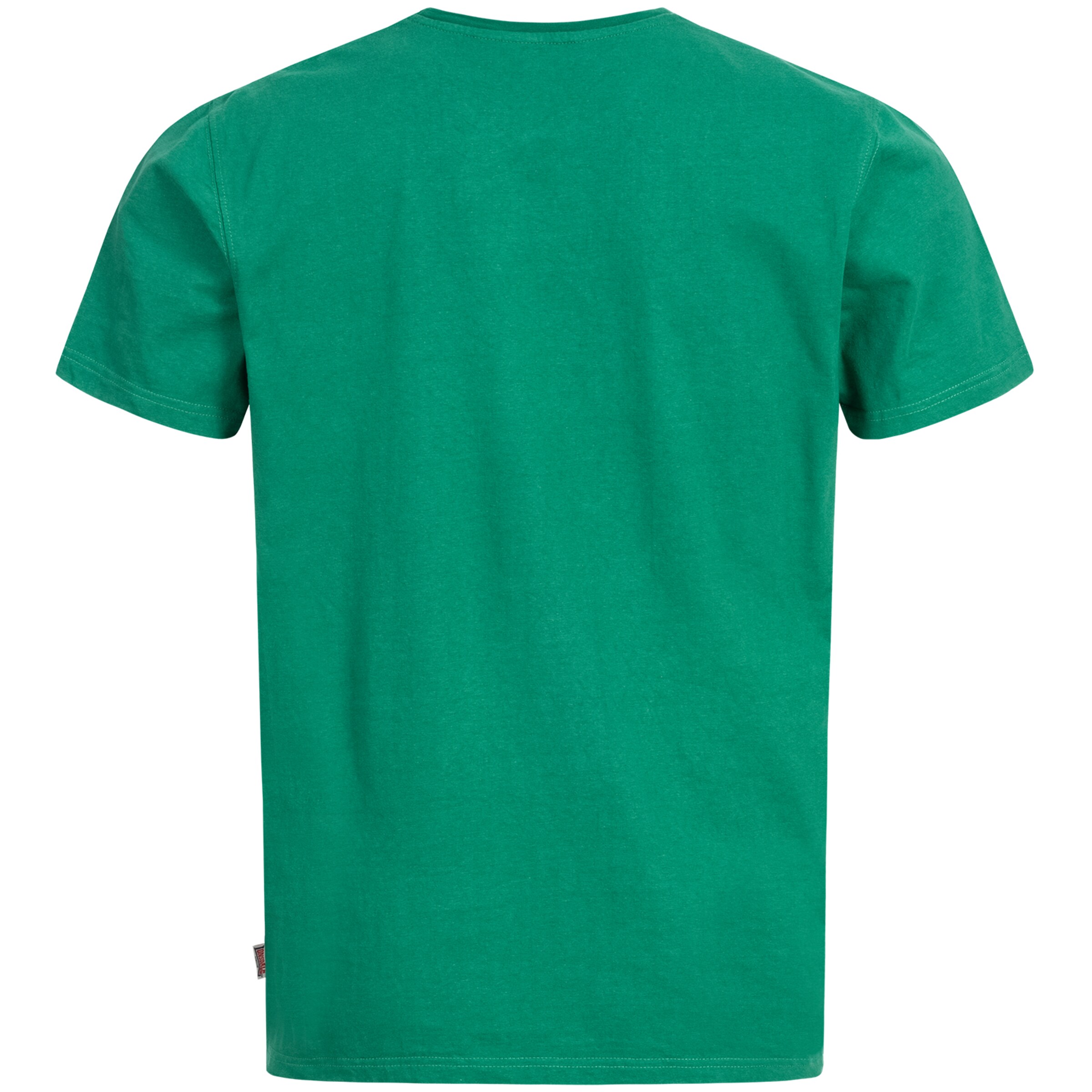 Maglietta di LONSDALE in verde