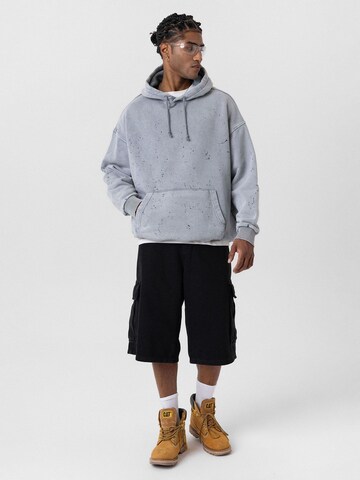 Dandalo Sweatshirt 'Makson' i grå