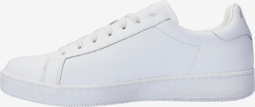 LOTTO Sneaker in Weiß: front
