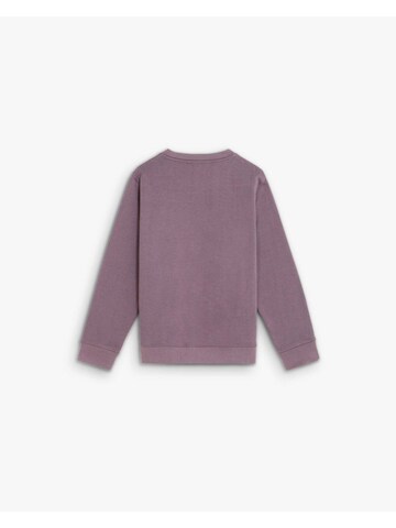 Scalpers Mikina 'Zebraskull' – fialová