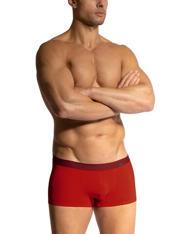 Olaf Benz Boxershorts ' RED2408 Minipants ' in Rood: voorkant