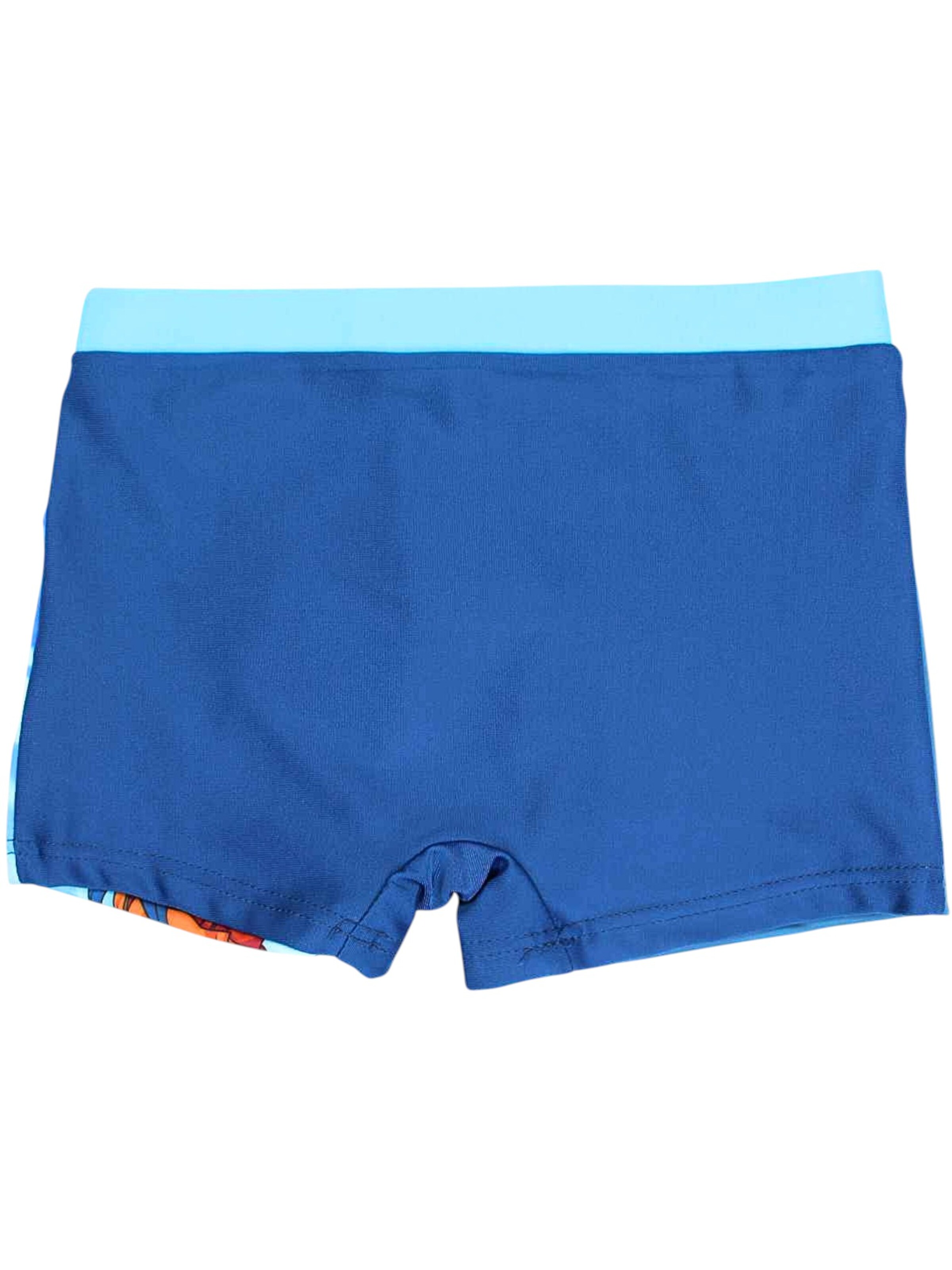 Dragon Ball Board Shorts 'Dragon Ball' in Blue