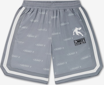 Regular Pantaloni sport de la AND1 pe gri: față