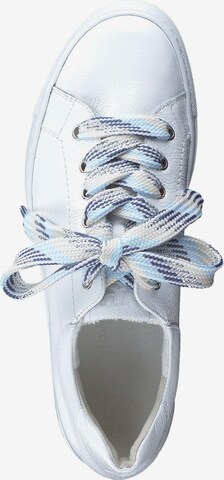 Paul Green Sneakers in White