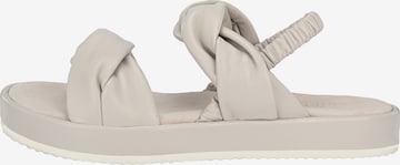 Crickit Sandals 'Janeke' in Beige