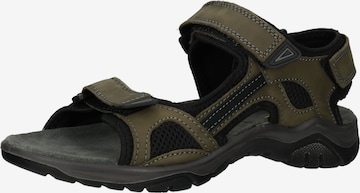 SALAMANDER Hiking Sandals in Green: front