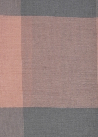 HARPA Sjaal in Gemengde kleuren