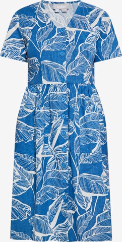 Usha Dress in Blue: front