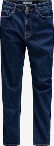 Salsa Jeans Regular Jeans in Blau: Vorderseite