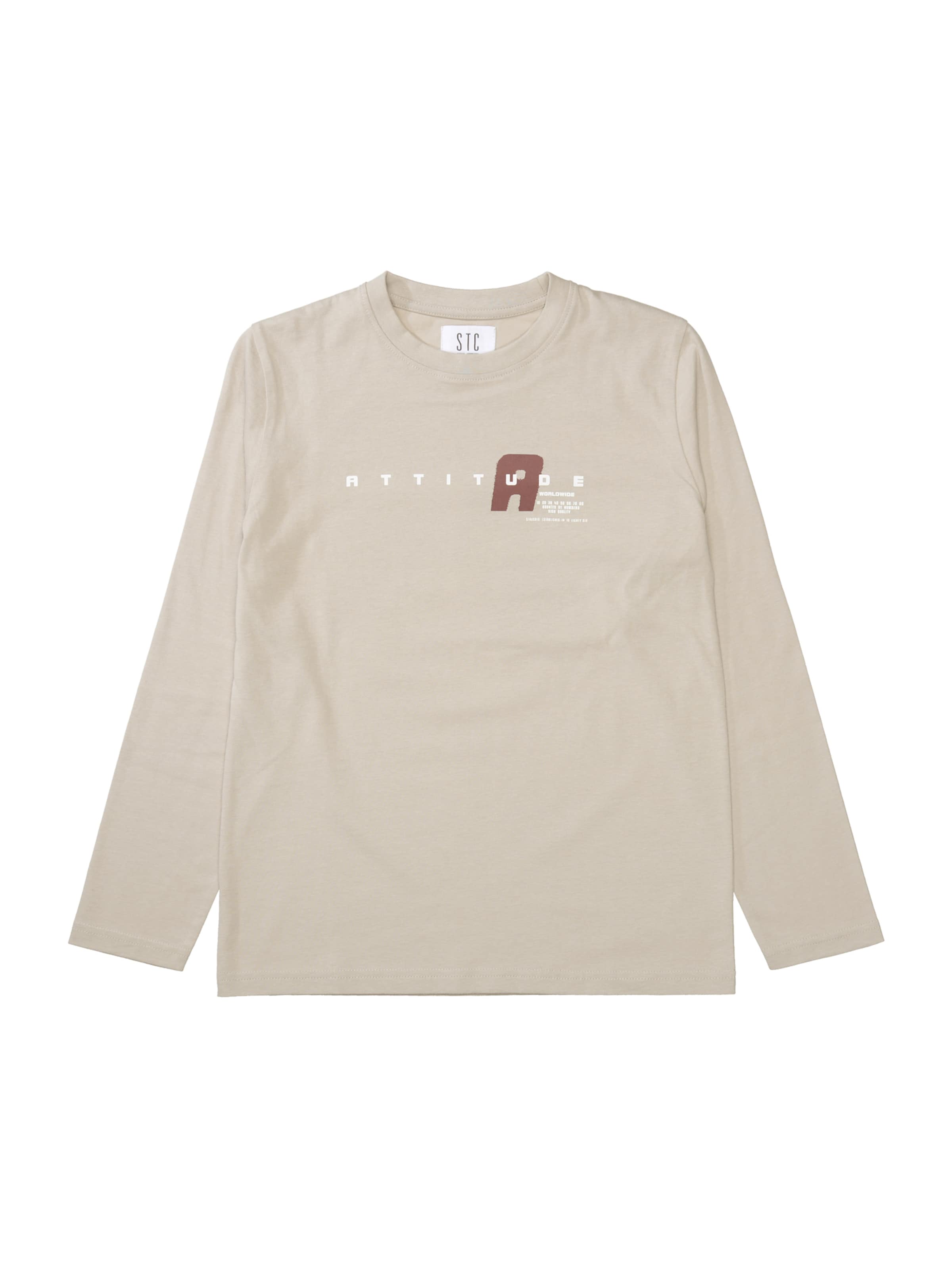 STACCATO Shirt in Beige: front