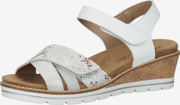 COSMOS COMFORT Sandals in Mixed colors: front