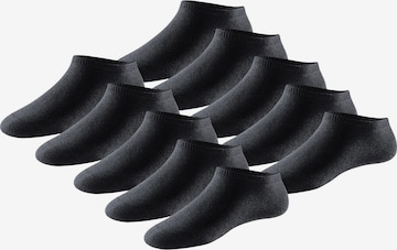SCHIESSER Ankle Socks ' Bluebird ' in Black: front