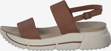 bugatti Sandals 'Raja' in Brown