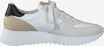 Paul Green Sneakers in White