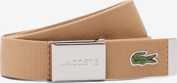 LACOSTE - Cinturón en marrón: frente