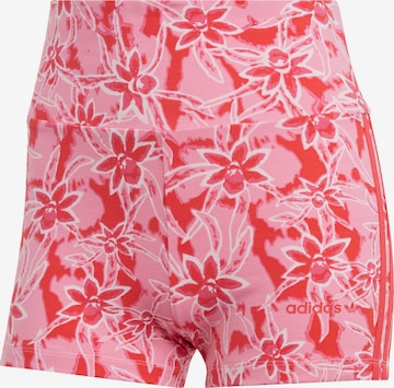 ADIDAS ORIGINALS Broek in Roze: voorkant