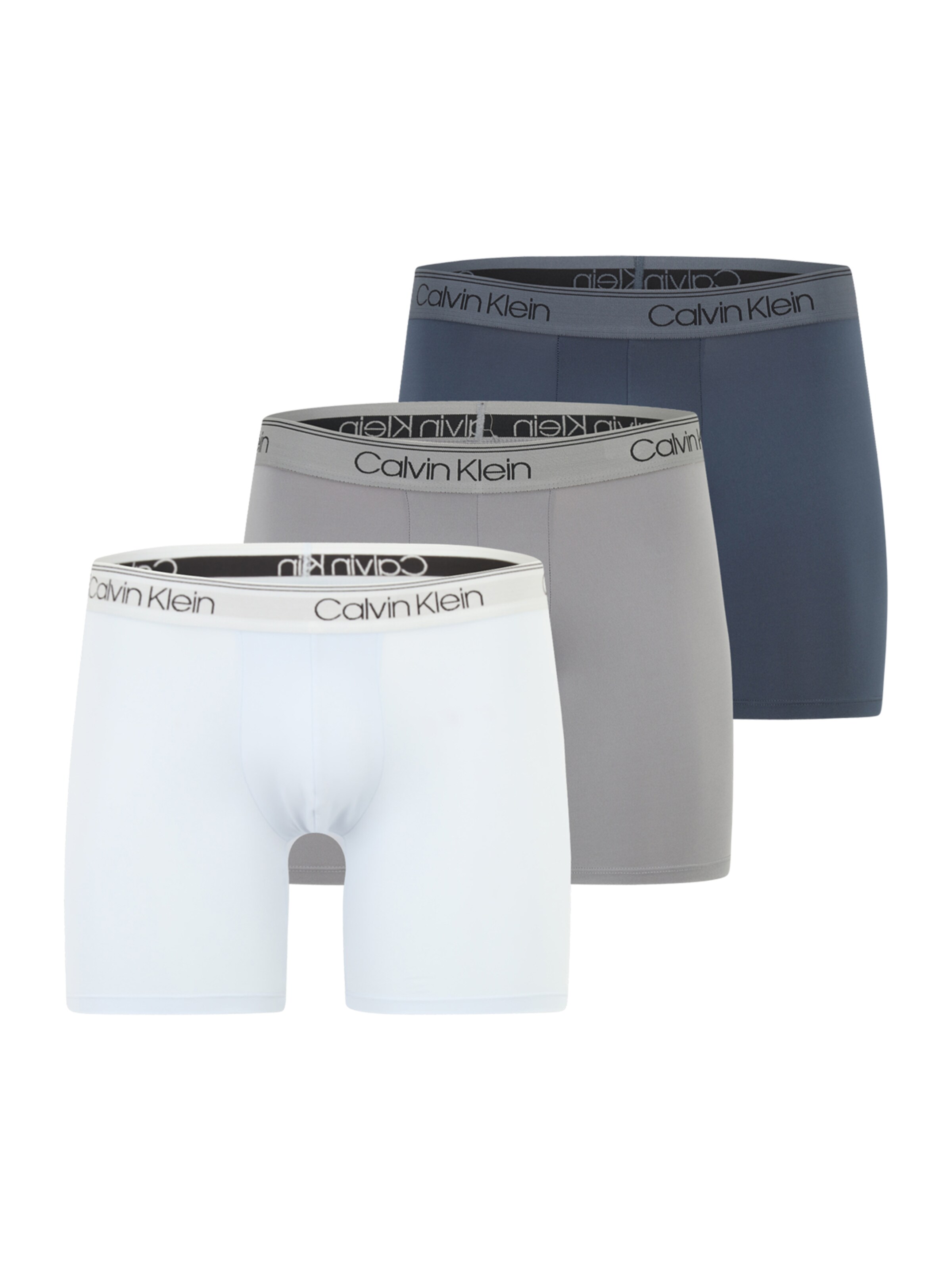 Cotton Briefs Calvin Klein Evolution Boxer Brief Boxers