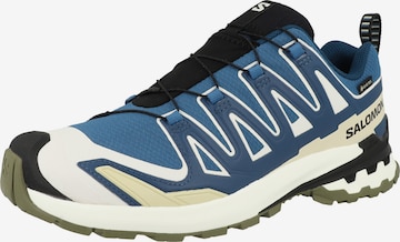 Chaussure de course 'XA Pro 3D V9' SALOMON en bleu : devant