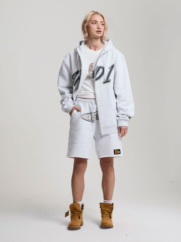 AND1 Regular Hose in Grau