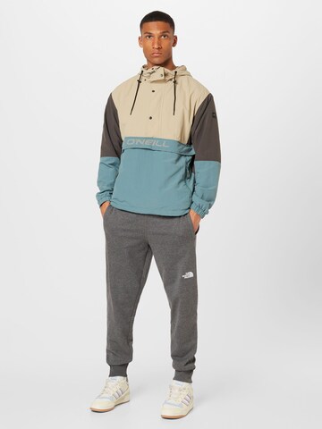 THE NORTH FACE Tapered Trousers in Grey