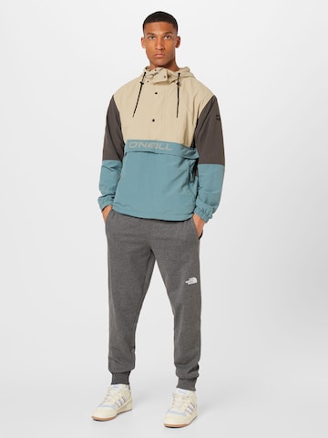 THE NORTH FACE Tapered Παντελόνι σε γκρι