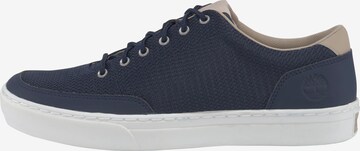 TIMBERLAND Sneaker in Blau