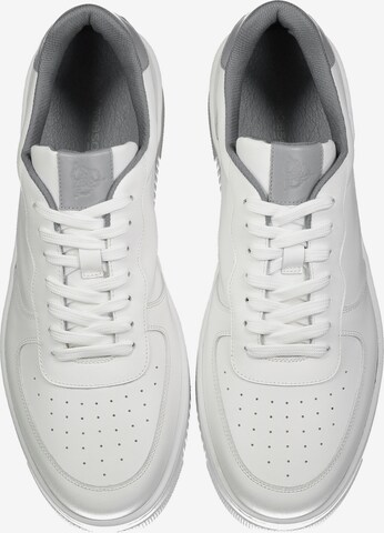ROY ROBSON Sneakers in White