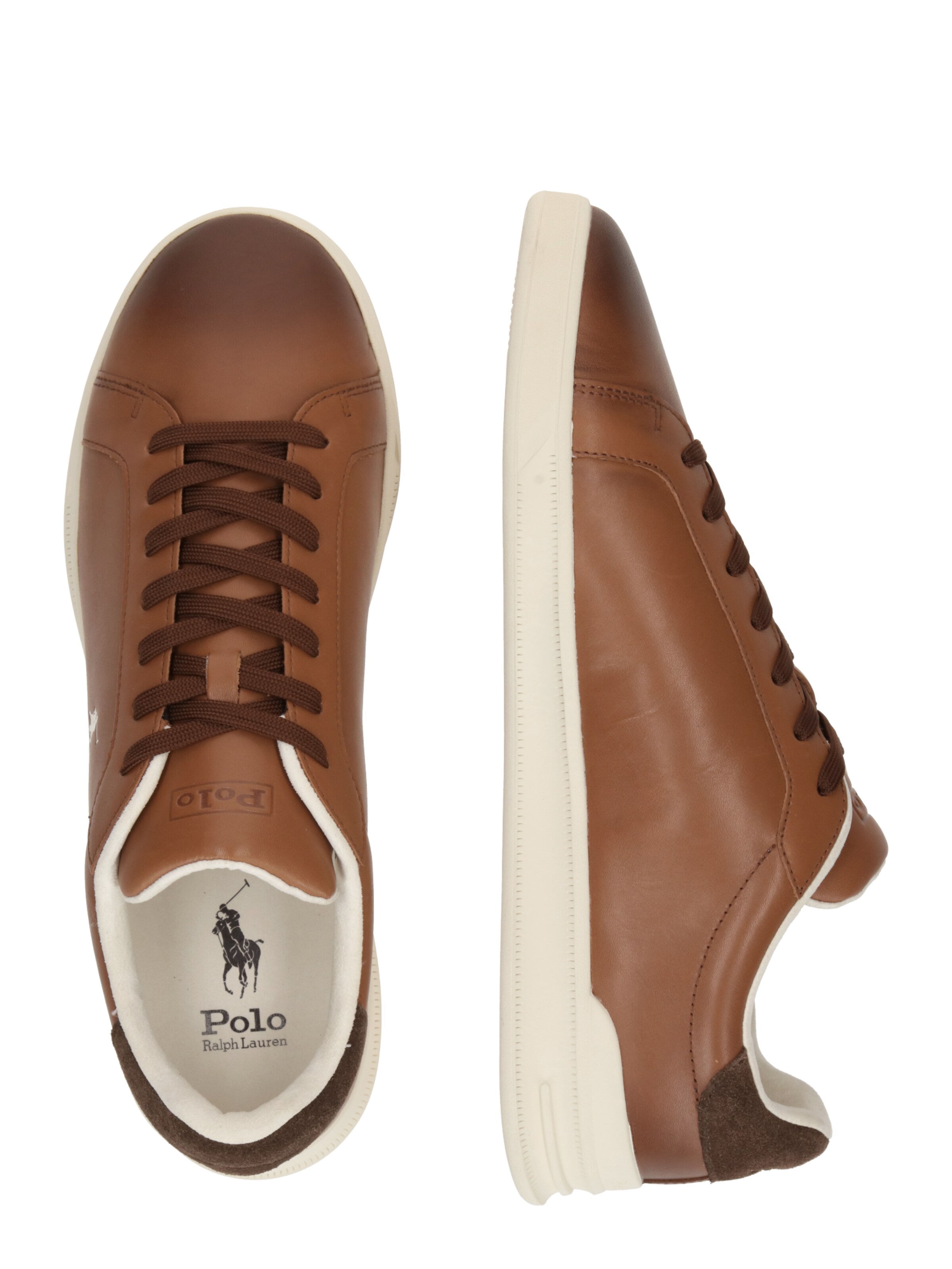 Baskets basses Polo Ralph Lauren en marron