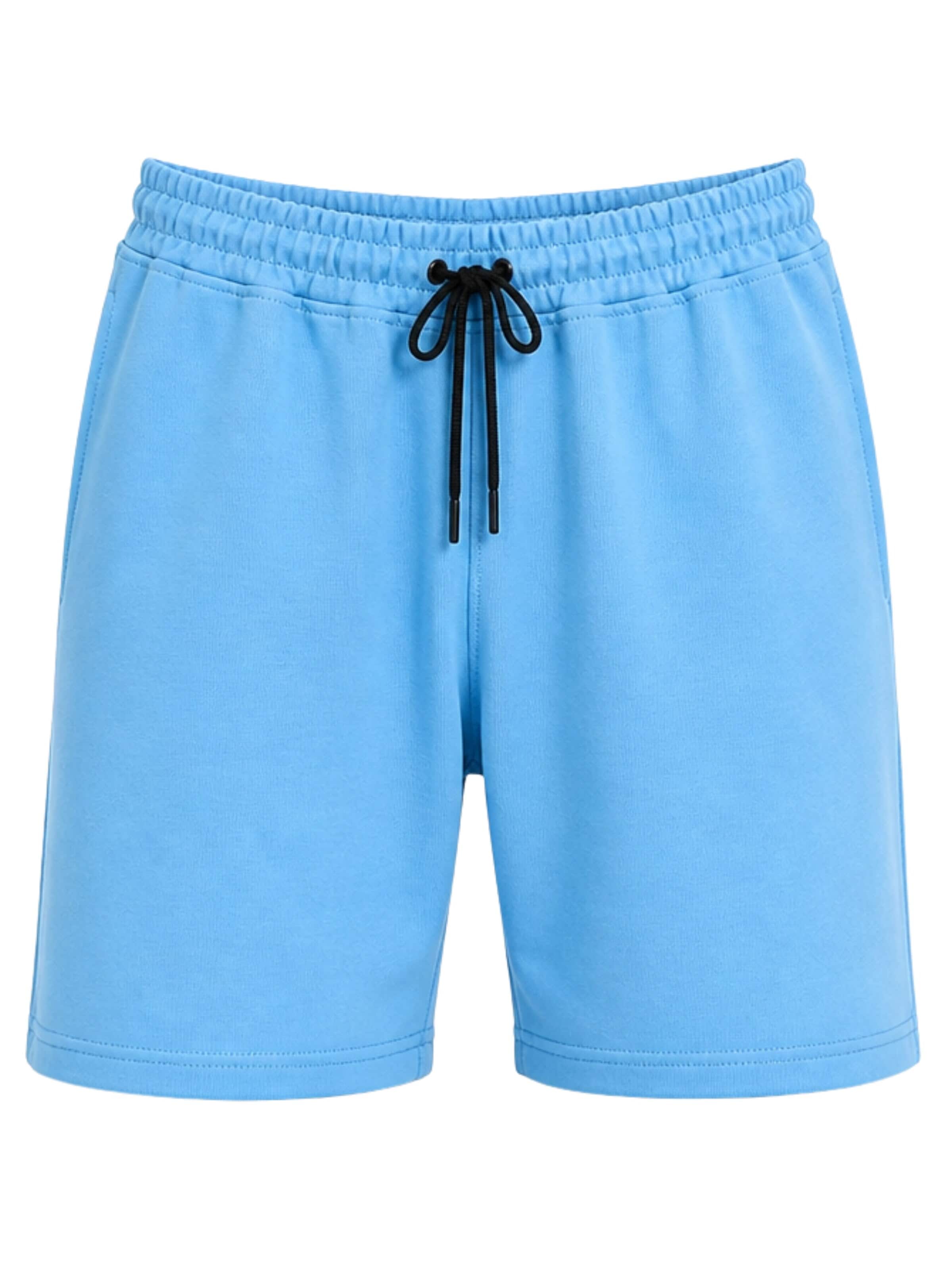 LOUIS LECLER Pants 'Otto' in 30 in Sky blue, Item view