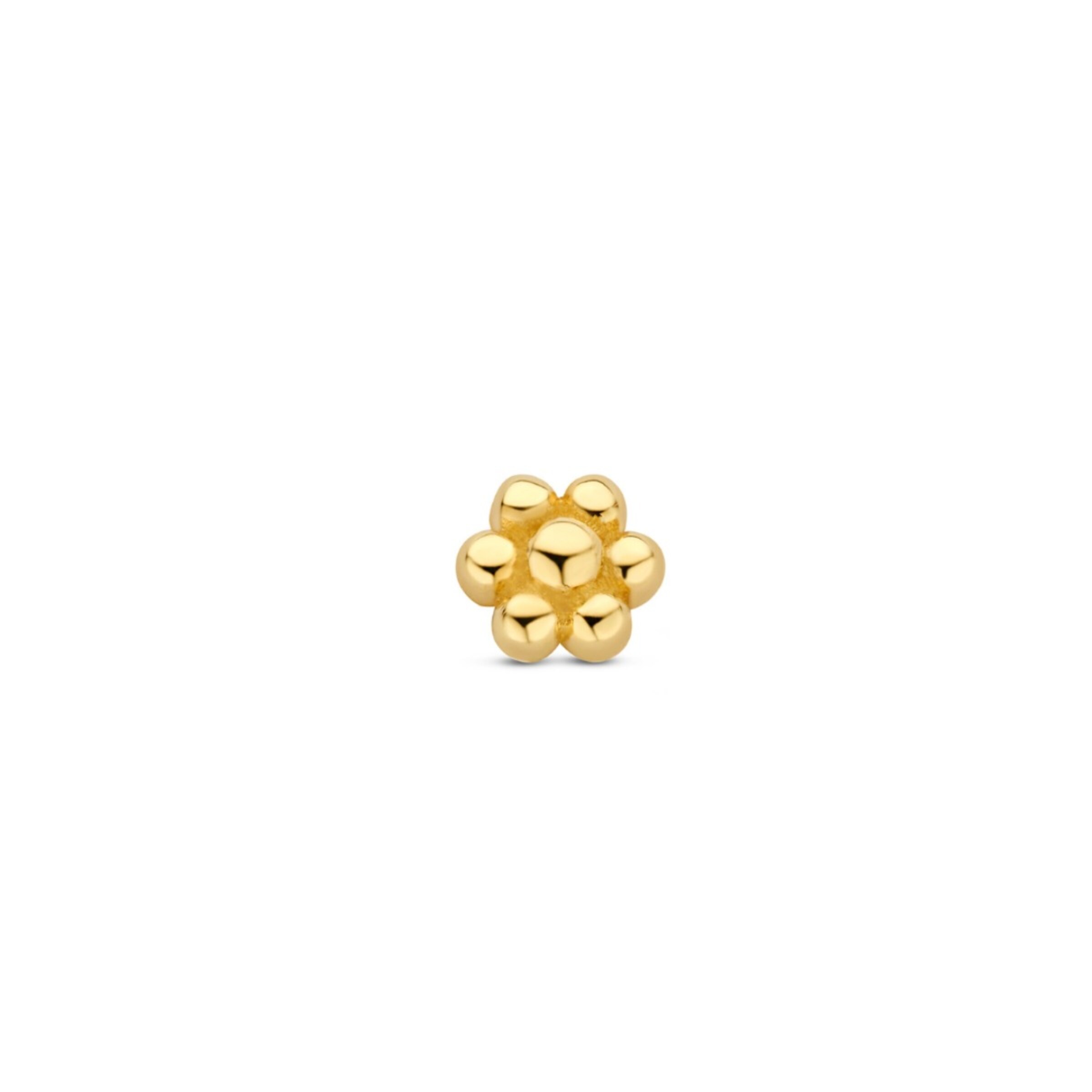 Beloro Jewels Oorbellen 'BO370006' in Goud: voorkant