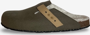 nae Vegan Shoes Sisäkengät 'Levu' värissä vihreä: etupuoli