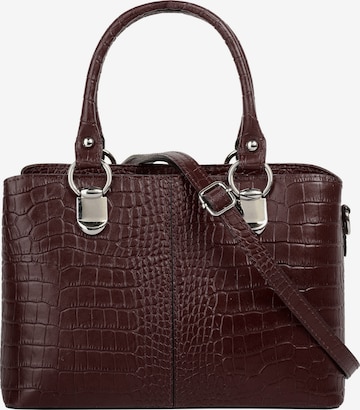 Cluty Crossbody Bag in Brown: front