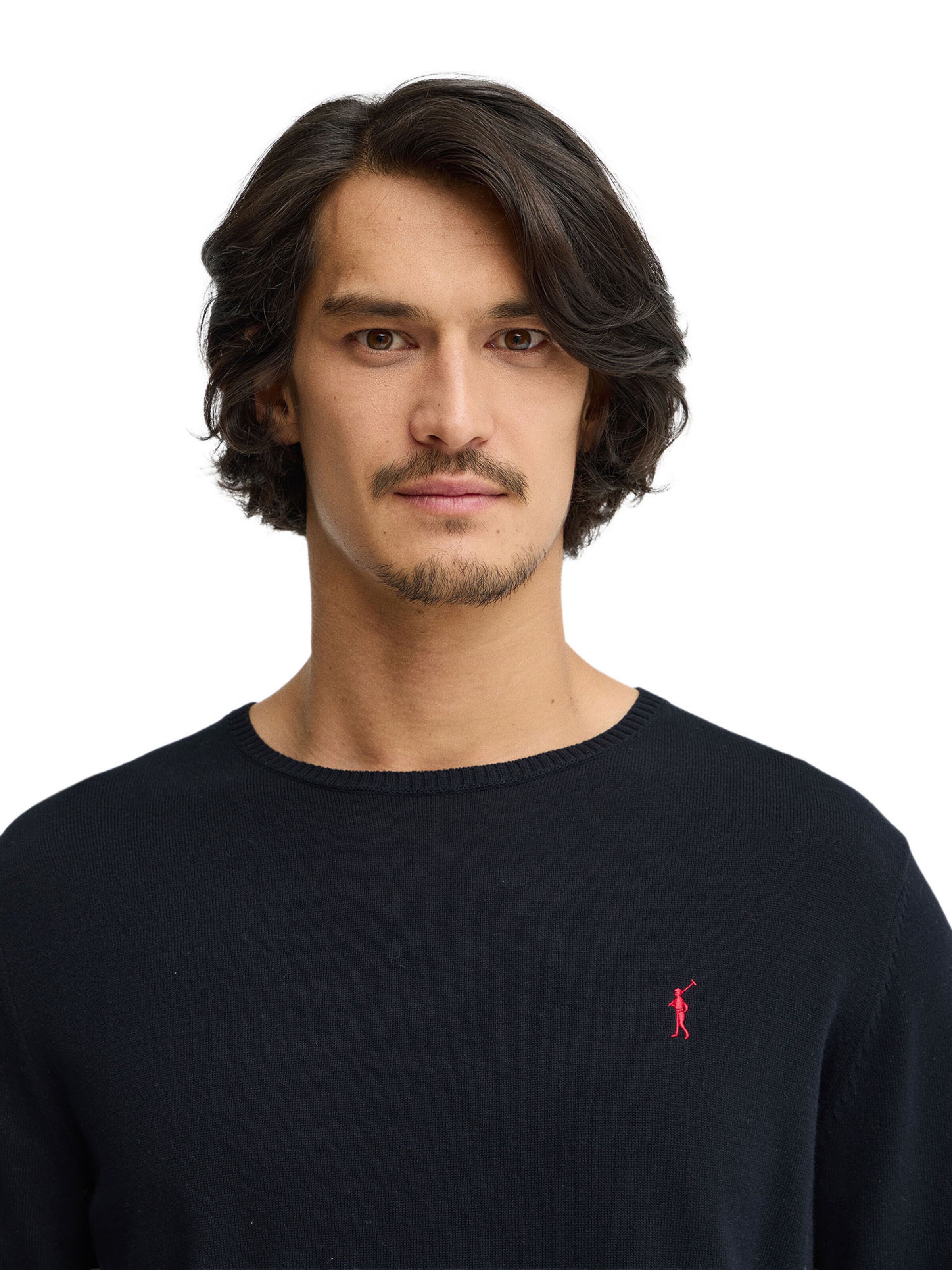 Polo Club Pullover in Blau