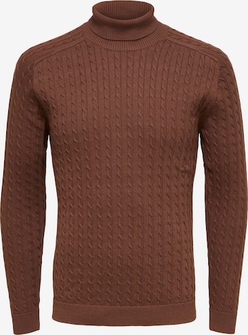 SELECTED HOMME Sweater 'Aiko' in Brown: front