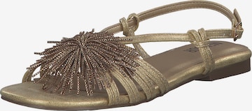 MENBUR Riemensandale in Gold: Vorderseite