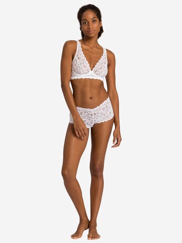 Hanro Panty 'Moments' in White