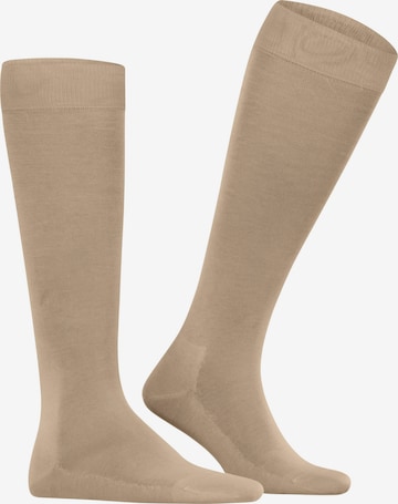 FALKE Knee High Socks 'Tiago' in Brown: front