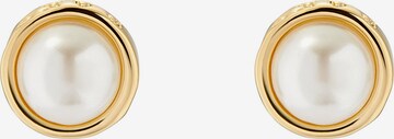 Ted Baker Earrings 'SINAA' in Gold: front