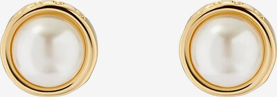 Ted Baker Boucles d'oreilles 'SINAA' en or / transparent, Vue avec produit