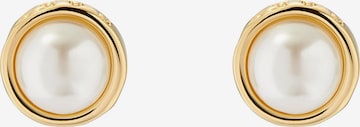 Boucles d'oreilles 'SINAA' Ted Baker en or : devant