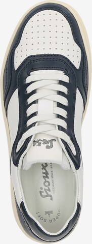 SIOUX Sneaker 'Tedroso-DA-700' in Blau