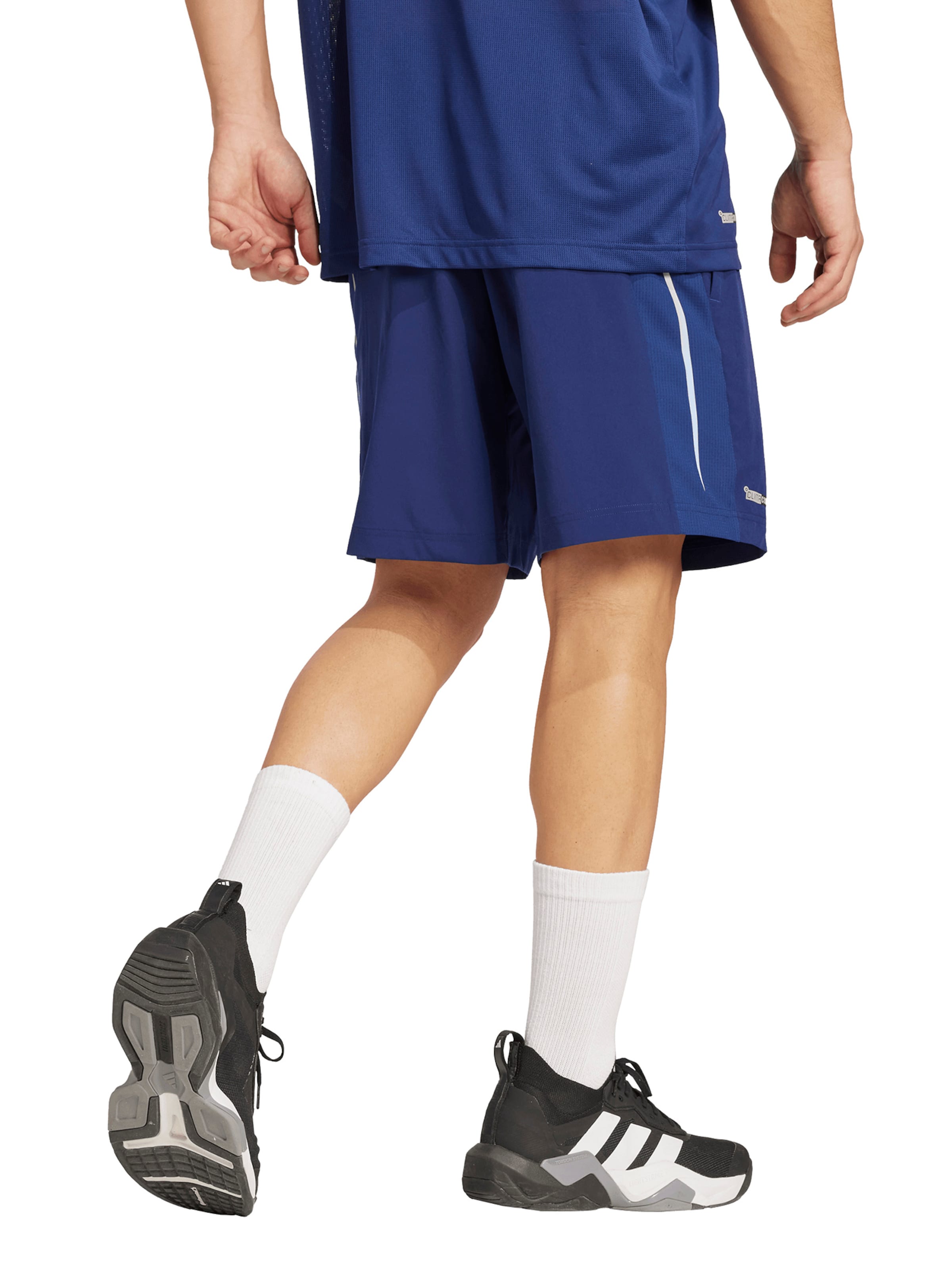 ADIDAS PERFORMANCE - Loosefit Pantalón deportivo 'Tech Apparel' en azul