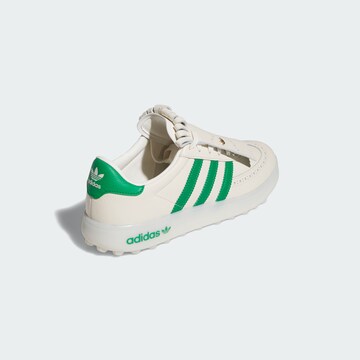 ADIDAS PERFORMANCE Sportschoen 'Coursecup Spikeless' in Wit